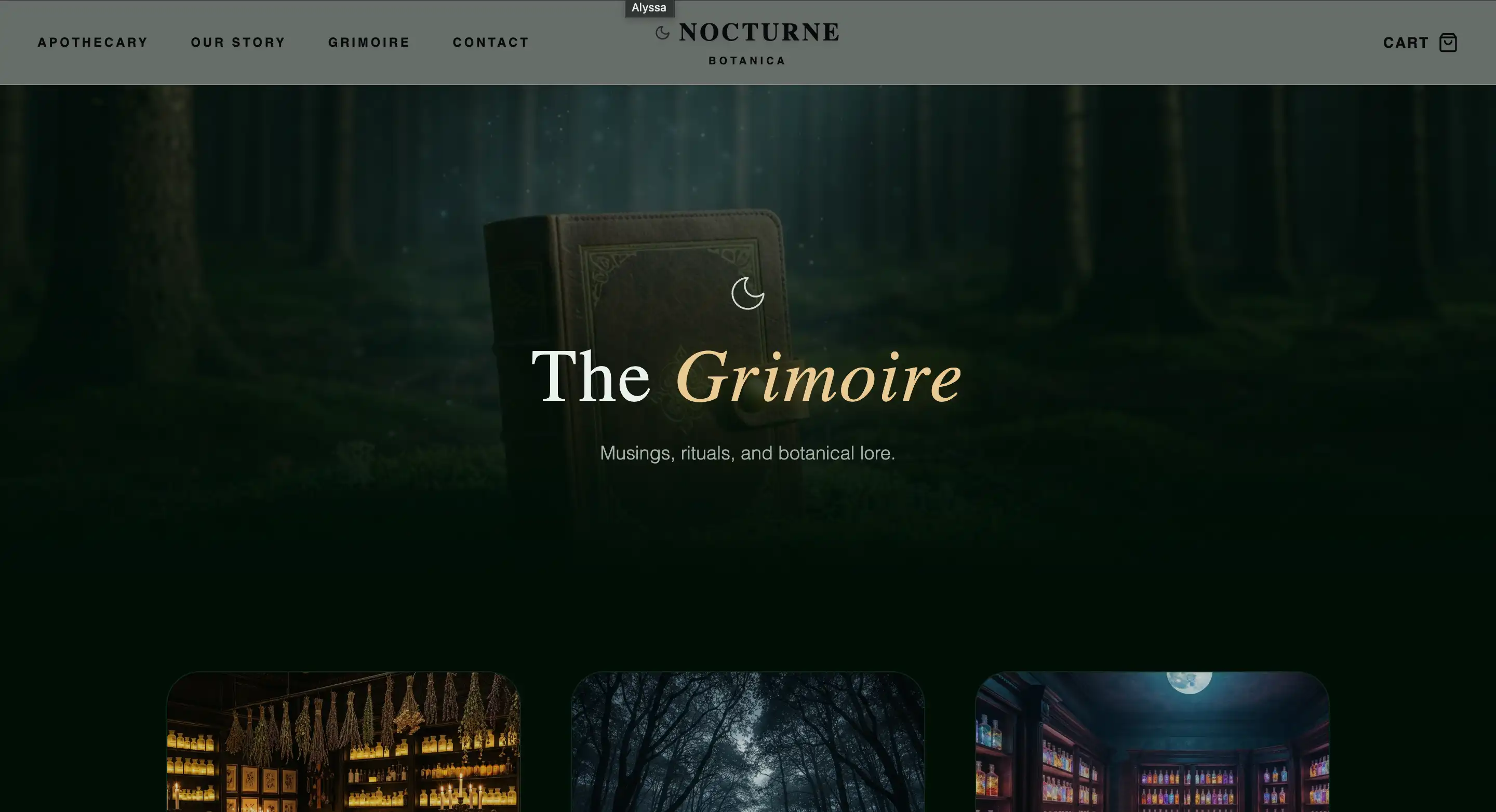 Professional template website design for small businesses starting at $300