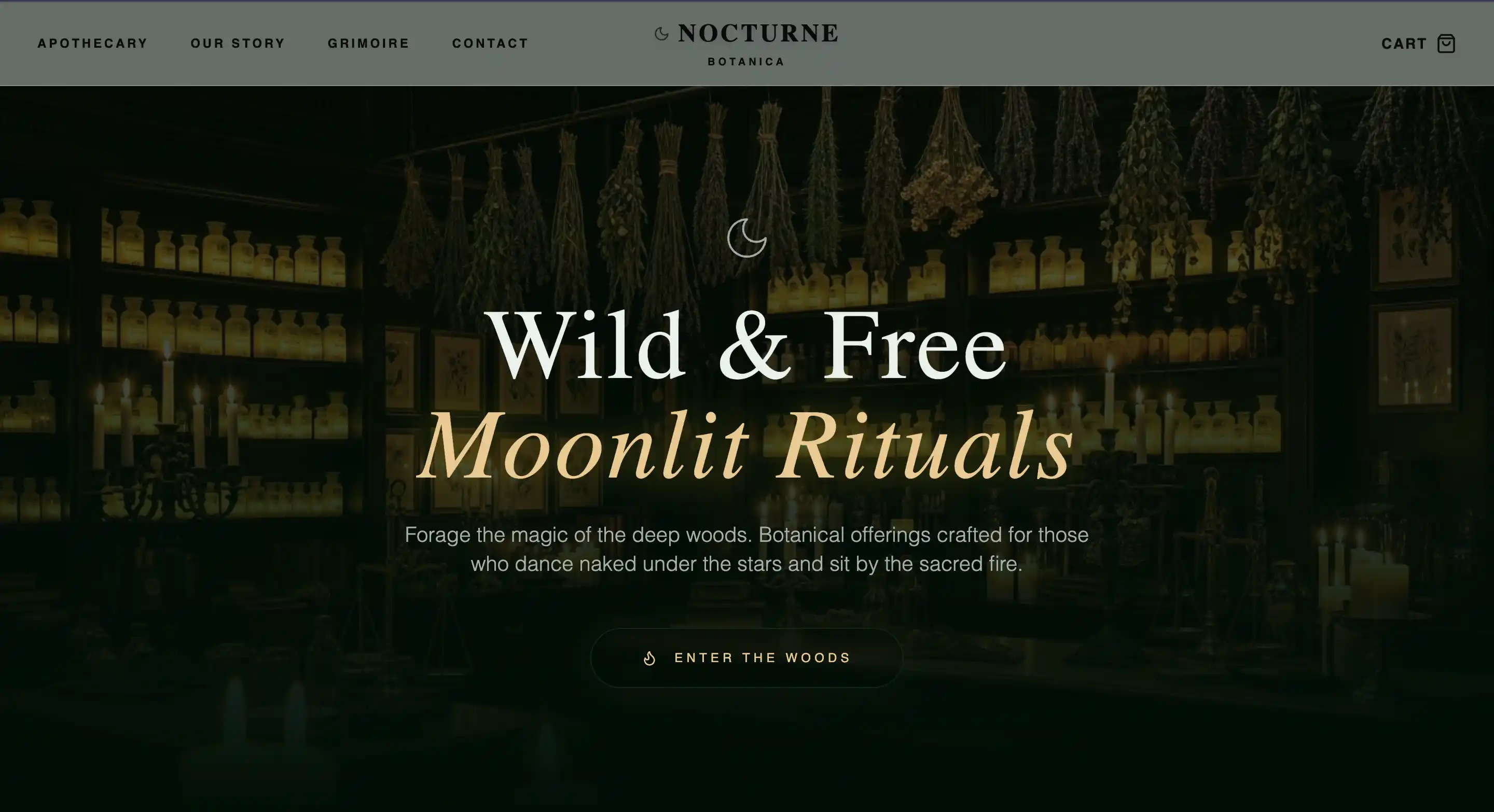 The Sanctum website template preview